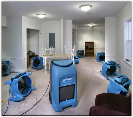 Odor Removal & Deodorization in Bangor, ME
