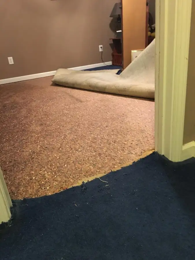 Carpet pad removal revealing water damage during Drying & Dehumidification in Bangor